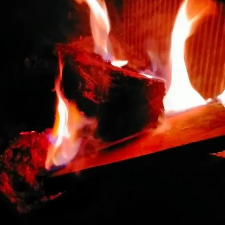 Michowka Vakantiehuis Mikoszewo