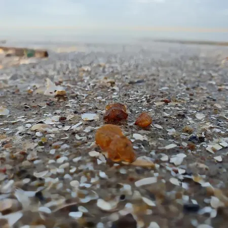 Michowka Vakantiehuis *