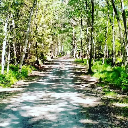 Michowka Vakantiehuis Mikoszewo