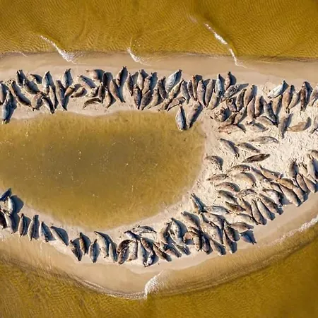 Michowka Vakantiehuis