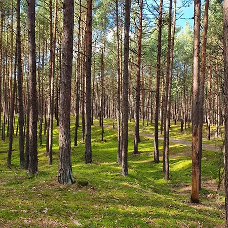 Michowka Vakantiehuis *