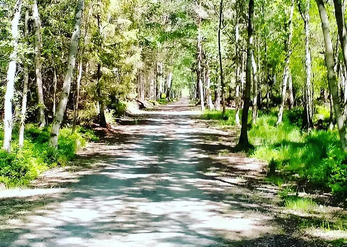 Michowka Nyaraló Mikoszewo