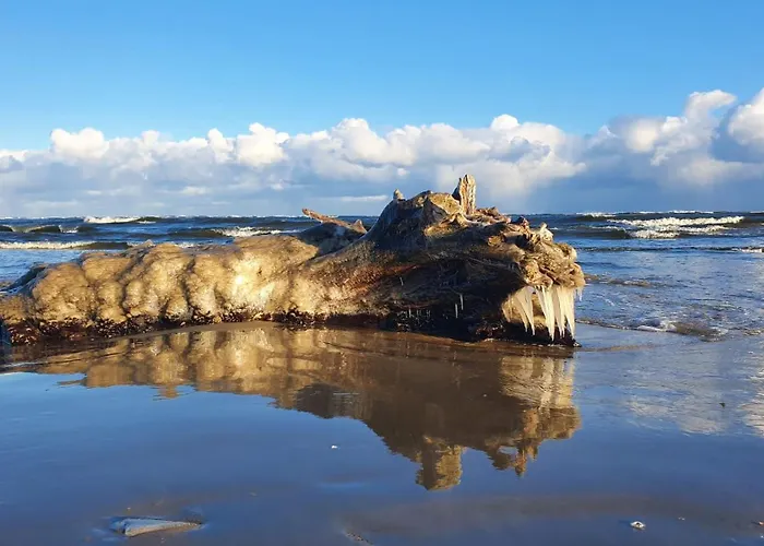 Nyaraló Michowka Mikoszewo